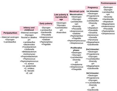 Female Gut and Genital Tract Microbiota-Induced Crosstalk and Differential Effects of Short-Chain Fatty Acids on Immune Sequelae